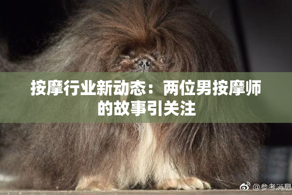 按摩行业新动态：两位男按摩师的故事引关注