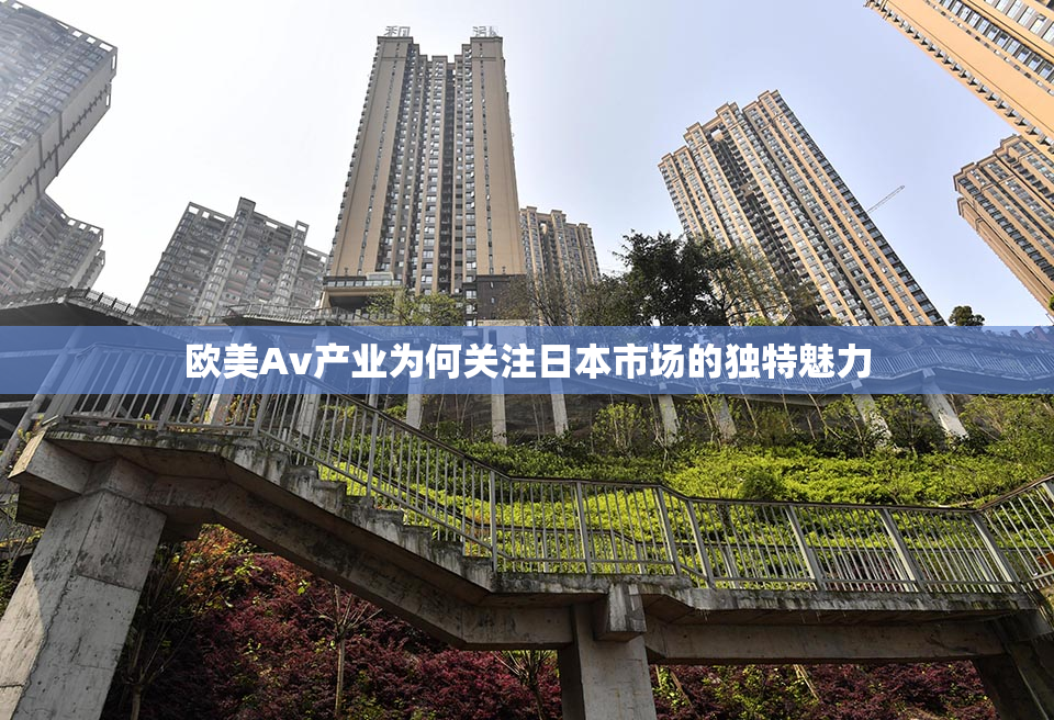 欧美Av产业为何关注日本市场的独特魅力
