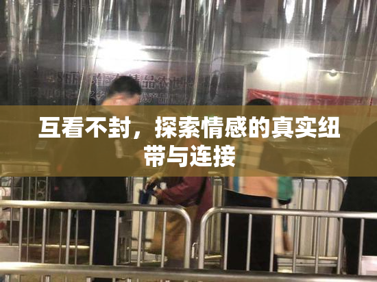 互看不封，探索情感的真实纽带与连接