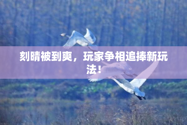 刻晴被到爽，玩家争相追捧新玩法！