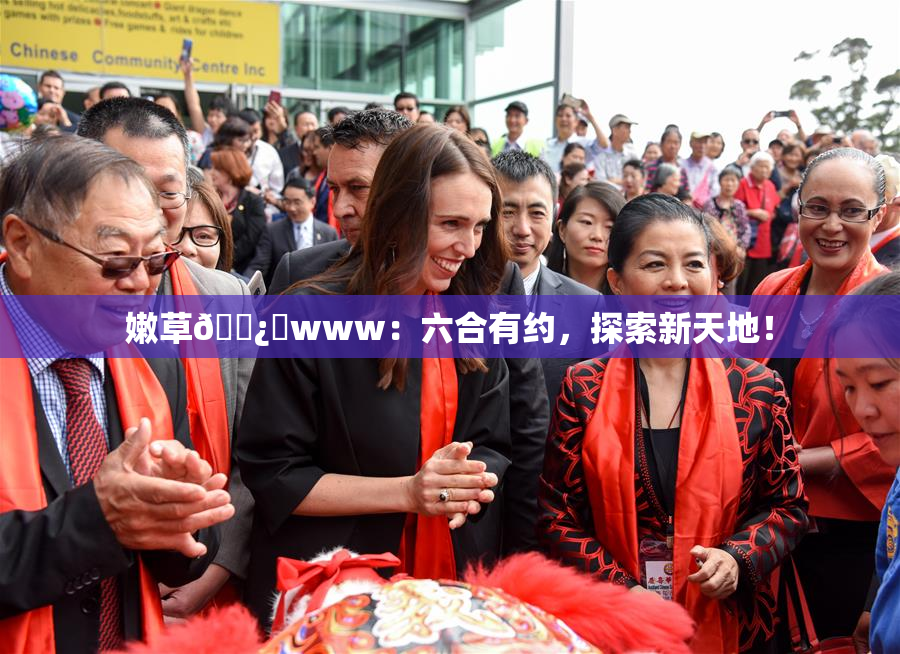 嫩草🌿‌www：六合有约，探索新天地！