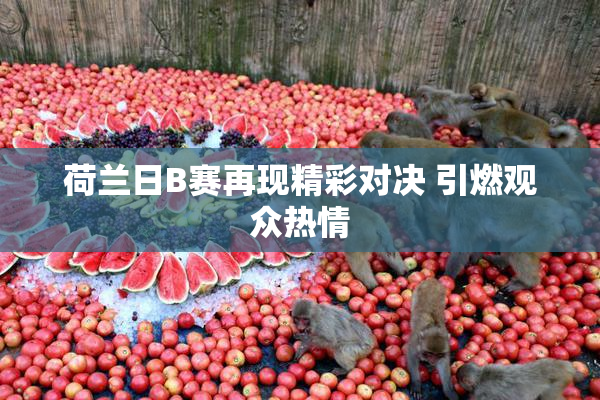 荷兰日B赛再现精彩对决 引燃观众热情