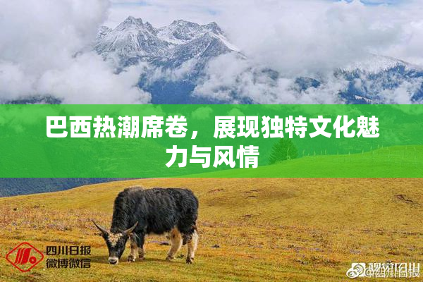 巴西热潮席卷，展现独特文化魅力与风情