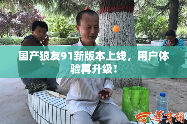 国产狼友91新版本上线，用户体验再升级！