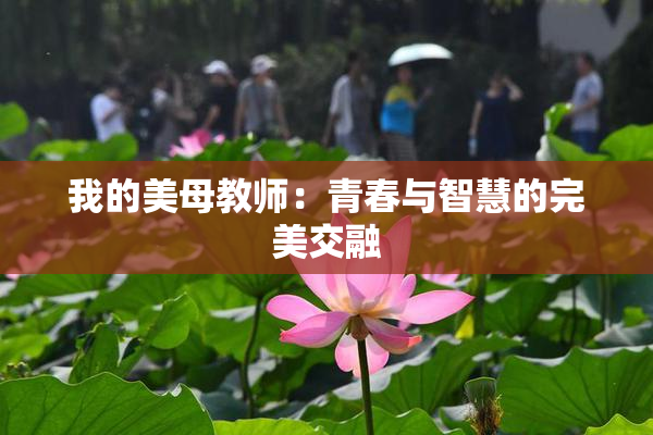 我的美母教师：青春与智慧的完美交融