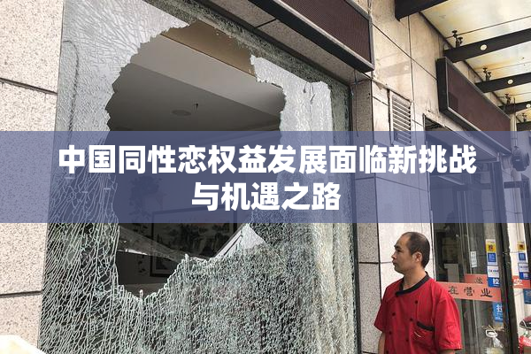 中国同性恋权益发展面临新挑战与机遇之路