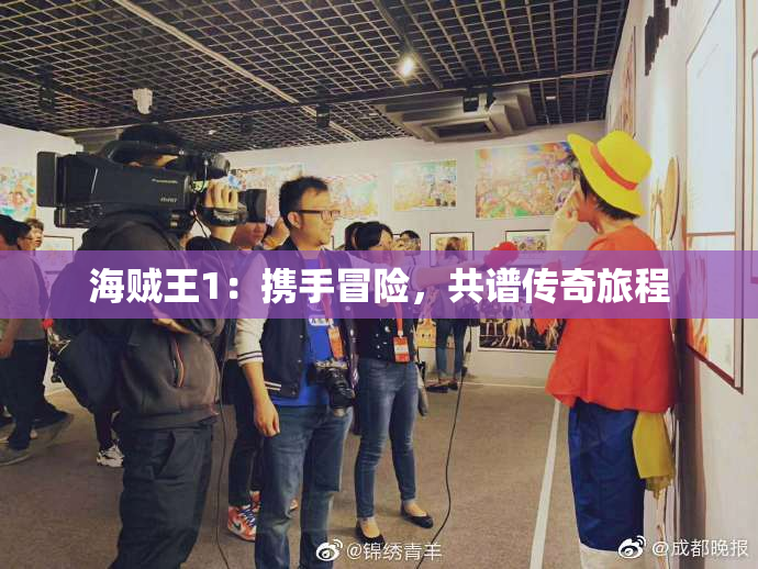 海贼王1：携手冒险，共谱传奇旅程
