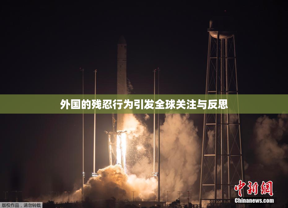 外国的残忍行为引发全球关注与反思