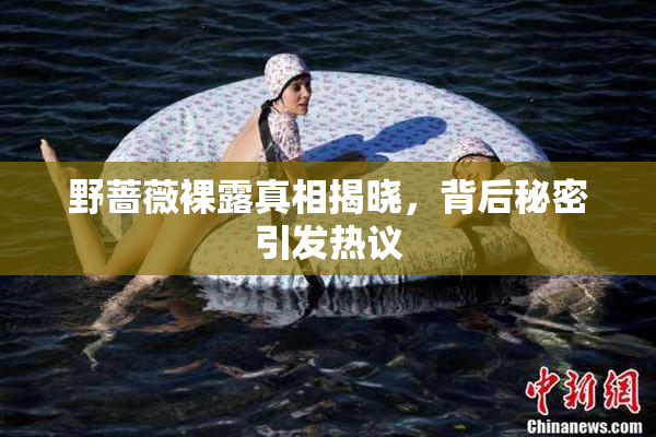野蔷薇裸露真相揭晓，背后秘密引发热议