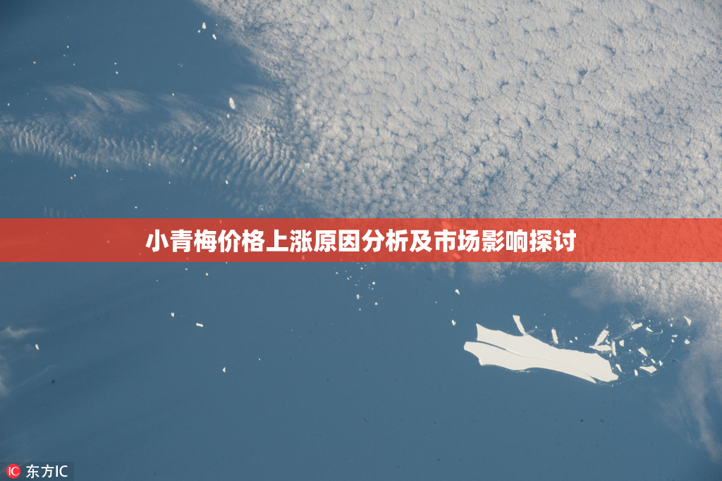 小青梅价格上涨原因分析及市场影响探讨
