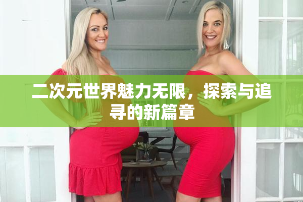二次元世界魅力无限，探索与追寻的新篇章