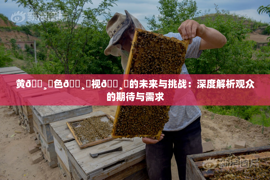 黄🌸‌色🌸‌视🌸‌的未来与挑战：深度解析观众的期待与需求