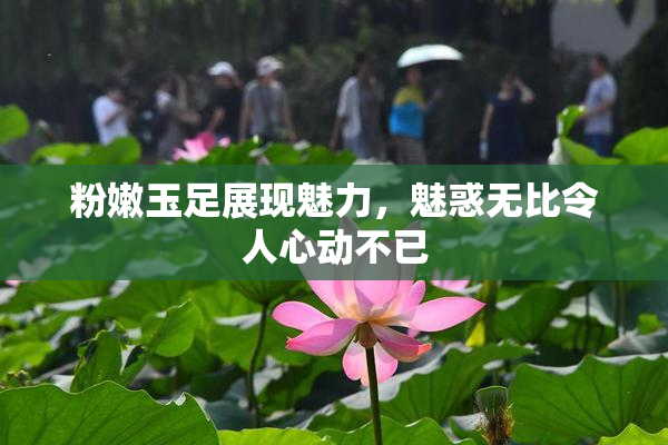 粉嫩玉足展现魅力，魅惑无比令人心动不已