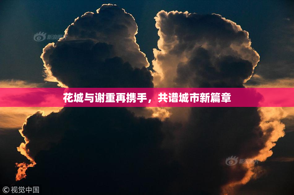 花城与谢重再携手，共谱城市新篇章