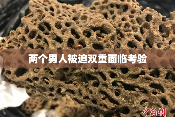 两个男人被迫双重面临考验