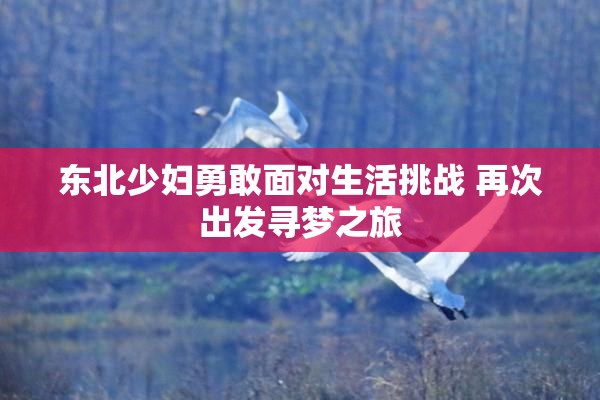 东北少妇勇敢面对生活挑战 再次出发寻梦之旅