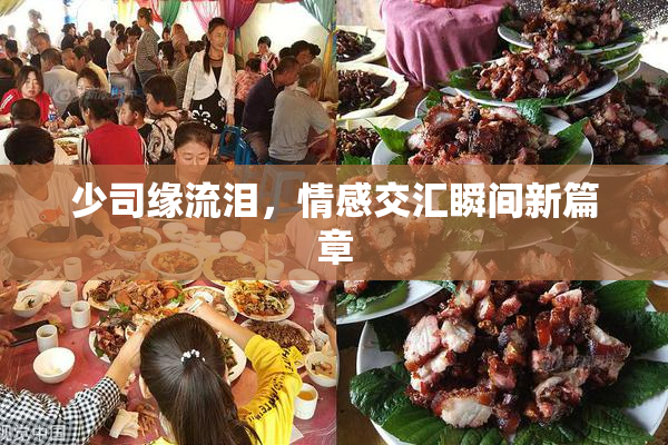 少司缘流泪，情感交汇瞬间新篇章