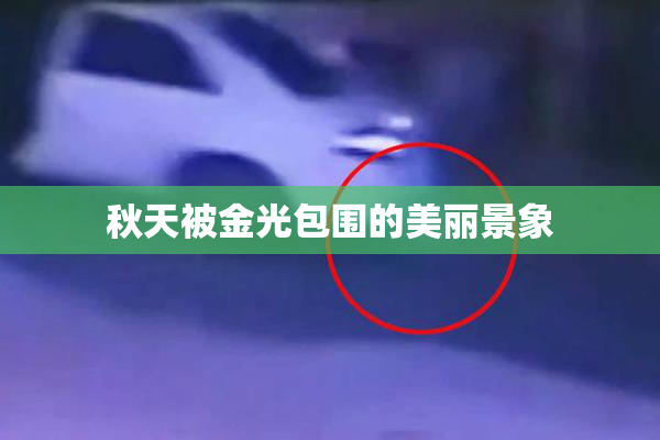 秋天被金光包围的美丽景象
