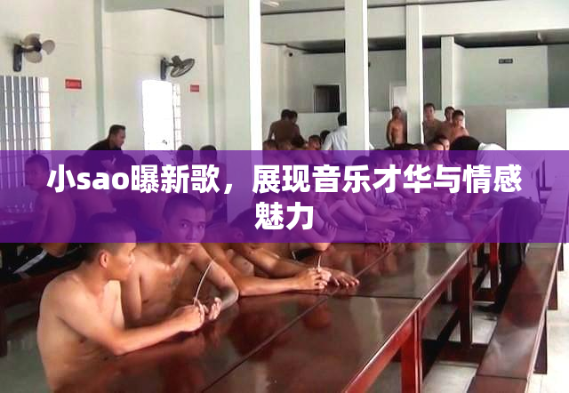 小sao曝新歌，展现音乐才华与情感魅力