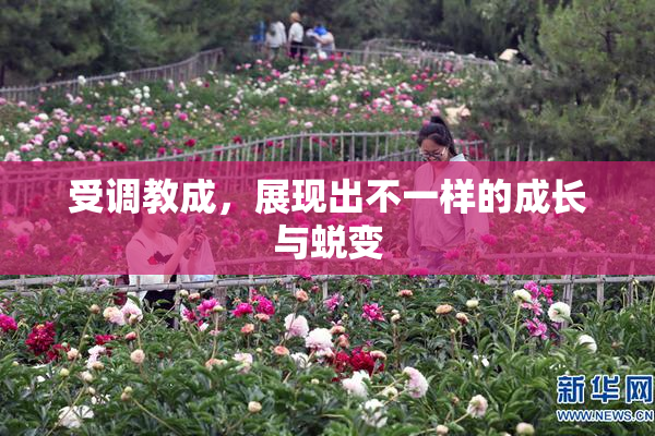 受调教成，展现出不一样的成长与蜕变