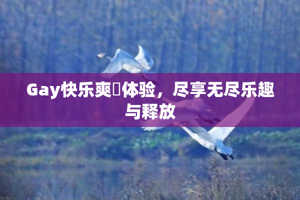 Gay快乐爽擼体验，尽享无尽乐趣与释放
