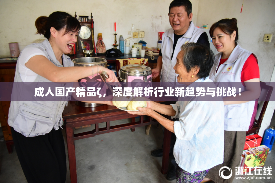 成人国产精品ζ，深度解析行业新趋势与挑战！