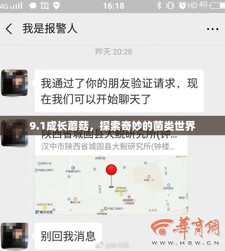 9.1成长蘑菇，探索奇妙的菌类世界