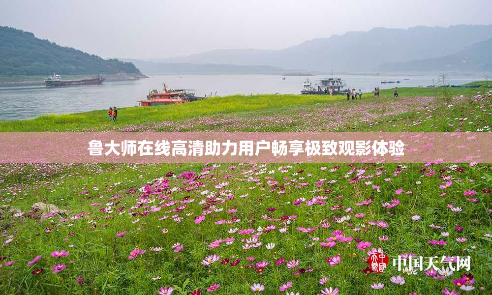鲁大师在线高清助力用户畅享极致观影体验