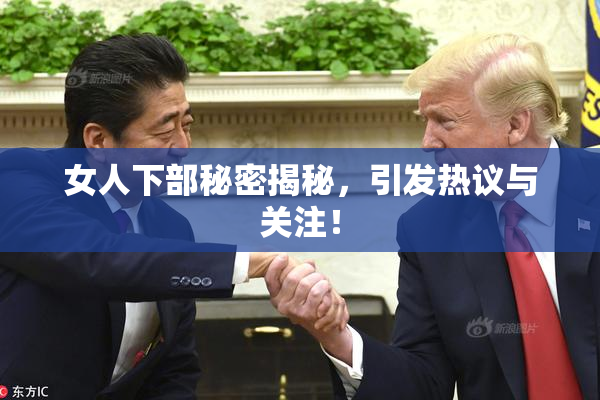 女人下部秘密揭秘，引发热议与关注！