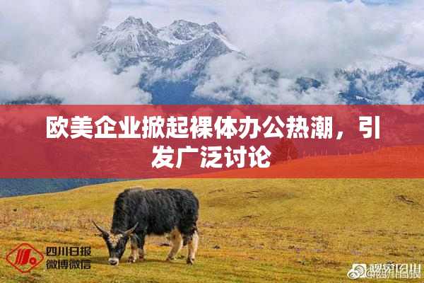 欧美企业掀起裸体办公热潮，引发广泛讨论