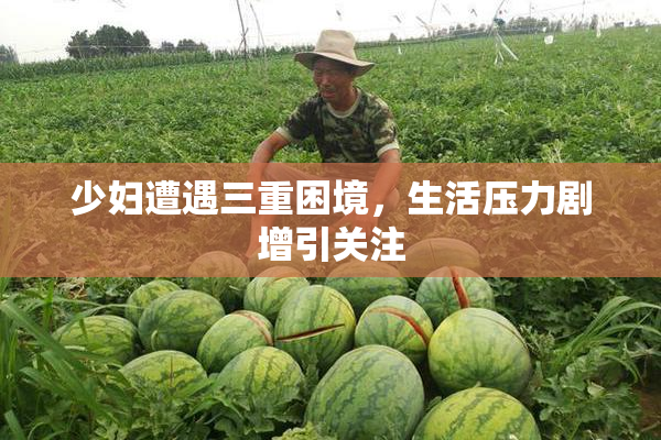 少妇遭遇三重困境，生活压力剧增引关注