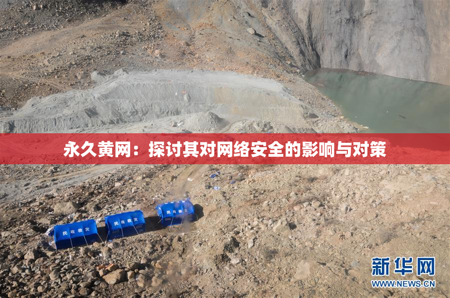 永久黄网：探讨其对网络安全的影响与对策