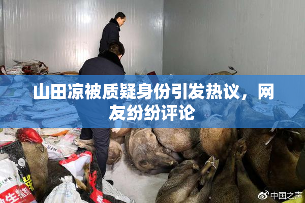 山田凉被质疑身份引发热议，网友纷纷评论