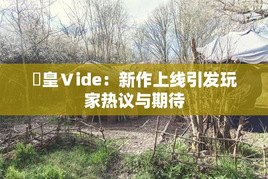 嘼皇Ⅴide：新作上线引发玩家热议与期待