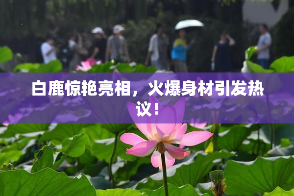 白鹿惊艳亮相，火爆身材引发热议！