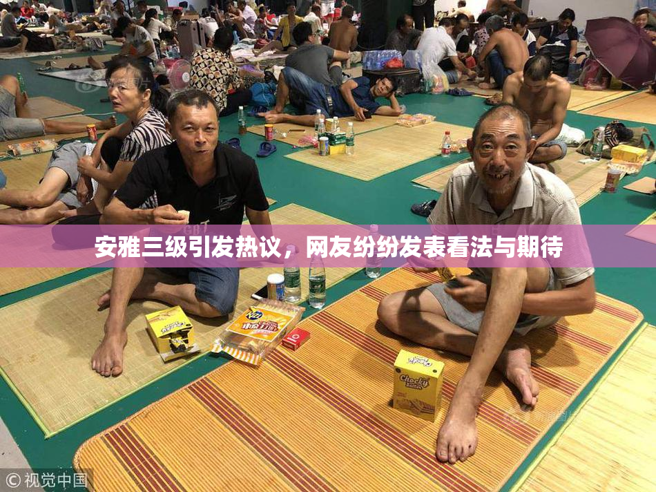 安雅三级引发热议，网友纷纷发表看法与期待