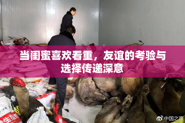 当闺蜜喜欢看重，友谊的考验与选择传递深意