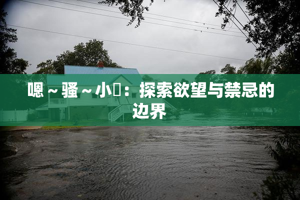 嗯～骚～小婬：探索欲望与禁忌的边界