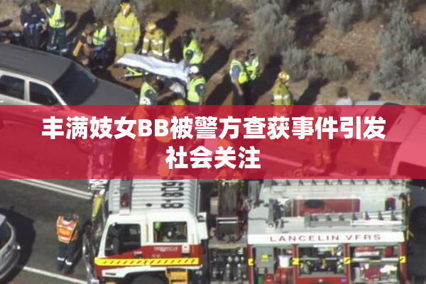 丰满妓女BB被警方查获事件引发社会关注