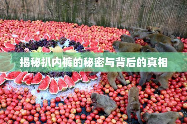 揭秘扒内裤的秘密与背后的真相