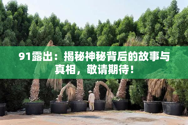 91露出：揭秘神秘背后的故事与真相，敬请期待！