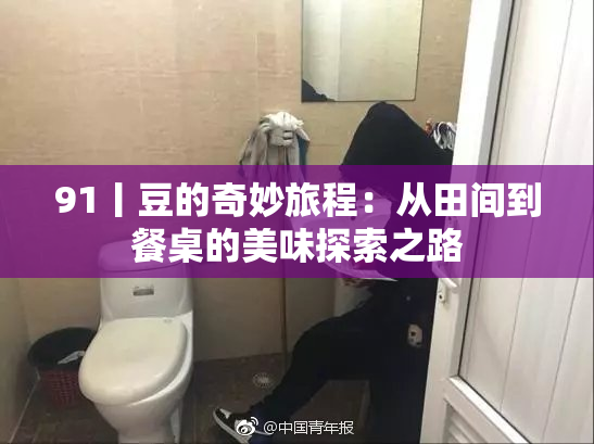 91丨豆的奇妙旅程：从田间到餐桌的美味探索之路