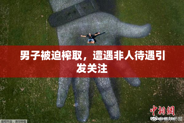 男子被迫榨取，遭遇非人待遇引发关注
