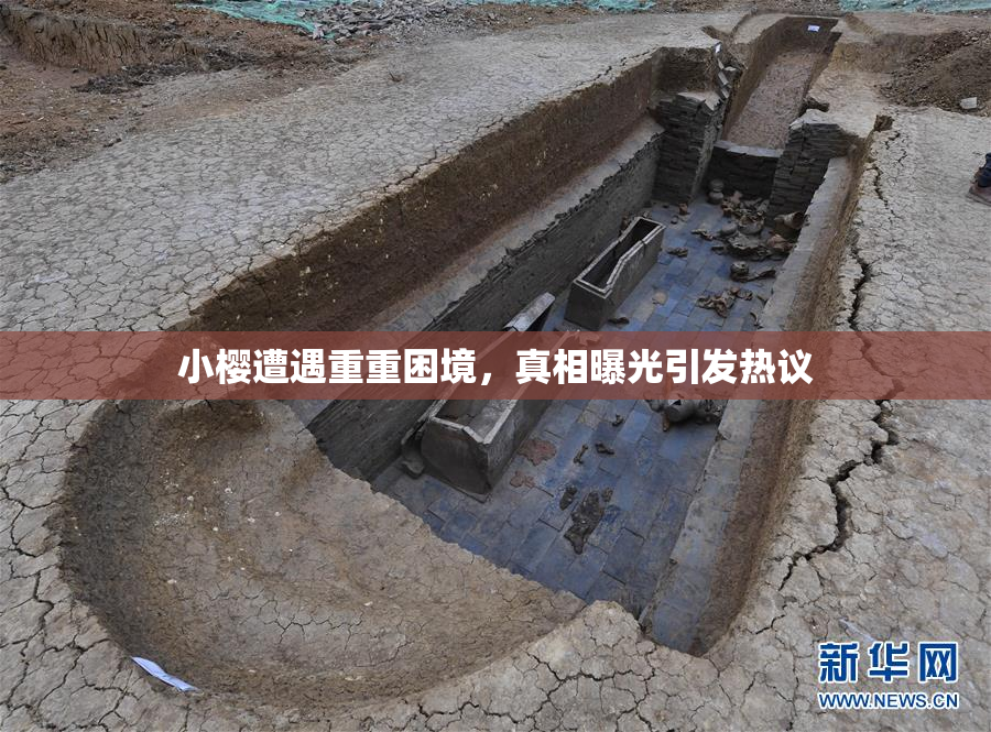 小樱遭遇重重困境，真相曝光引发热议