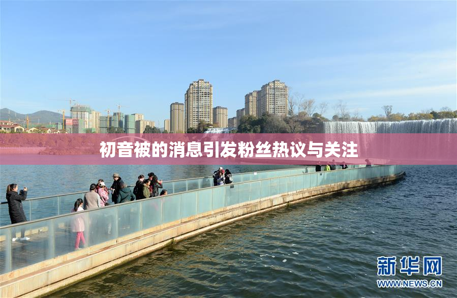 初音被的消息引发粉丝热议与关注
