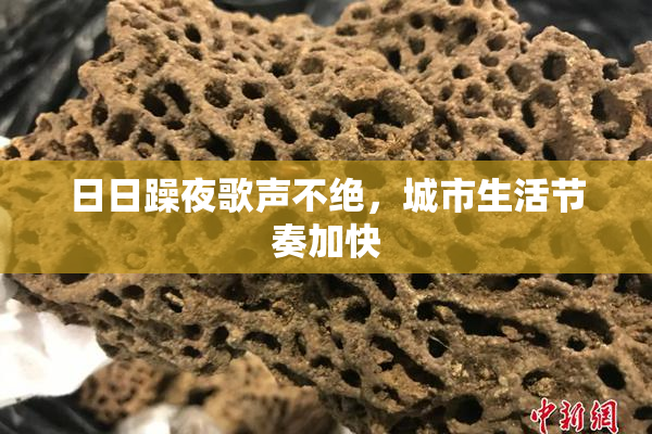 日日躁夜歌声不绝，城市生活节奏加快