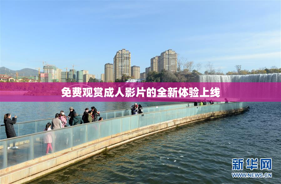 免费观赏成人影片的全新体验上线