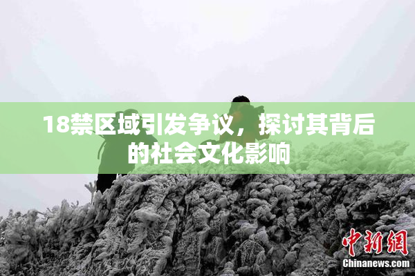 18禁区域引发争议，探讨其背后的社会文化影响