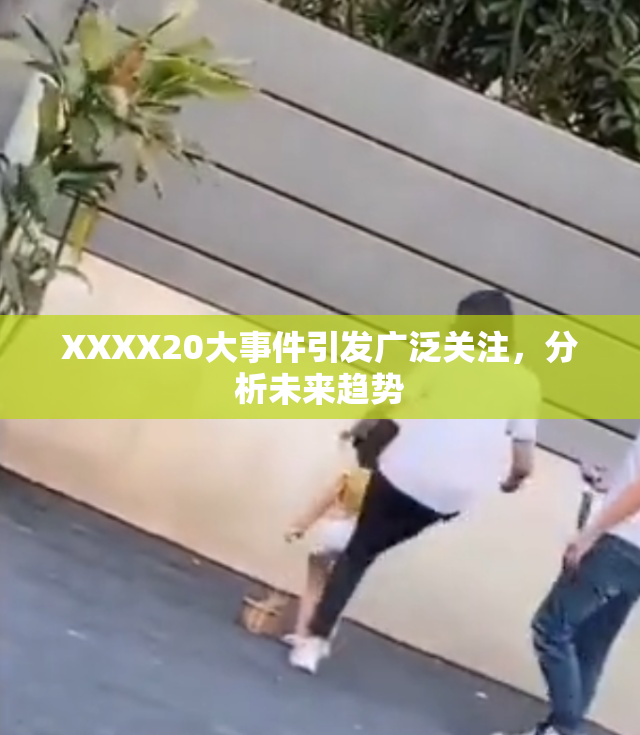 XXXX20大事件引发广泛关注，分析未来趋势
