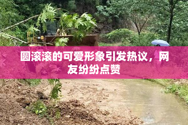圆滚滚的可爱形象引发热议，网友纷纷点赞